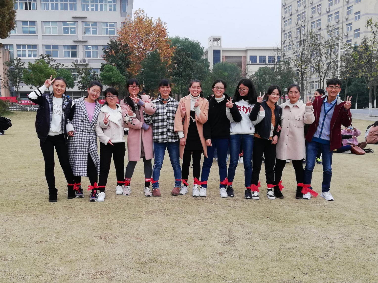 2018111518235341.jpg 3.jpg