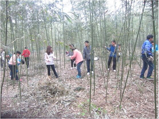 2017061210314883.png 圖片2.png